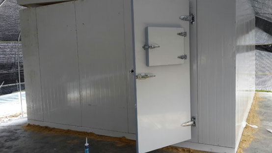 南沙好苗頭農業有限公司冷庫 南沙好苗頭農業有限公司冷庫